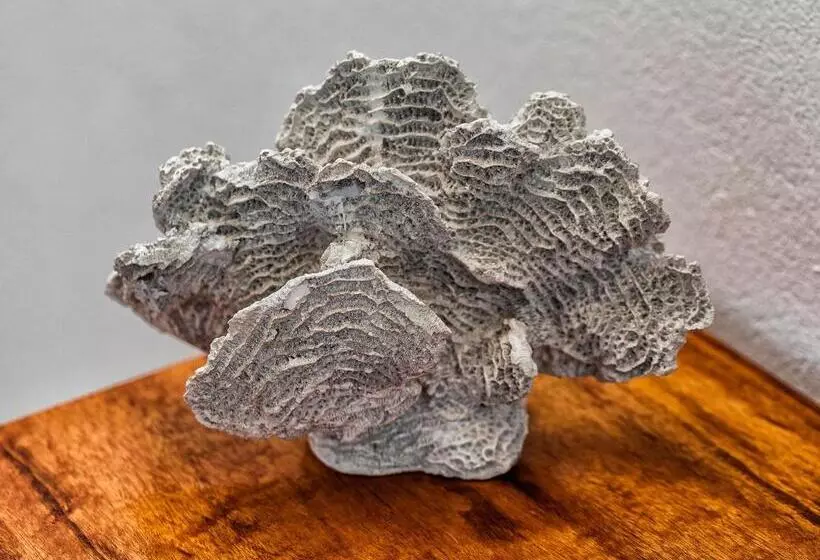 Hotelli Castelo Pink Boutique