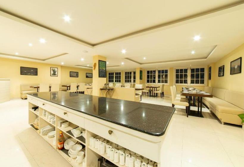 בית מלון כפרי Cygnett Inn La Maison