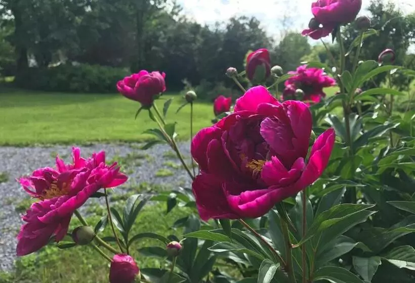 Aamiaismajoitus (B&B) Brooksbnb