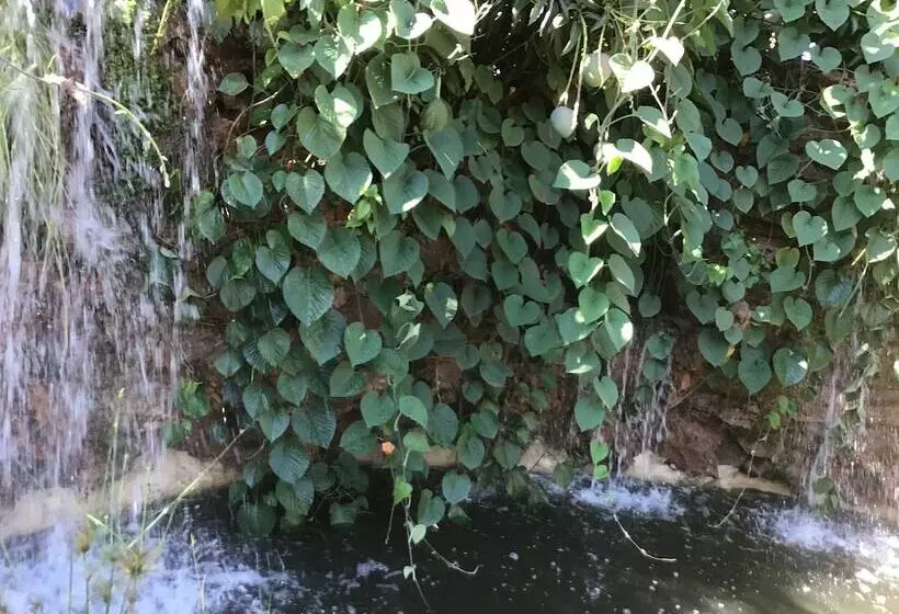 Mt Pleasant Bed And Breakfast Ltd