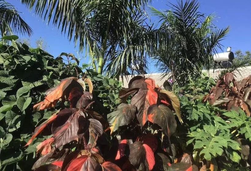 Mt Pleasant Bed And Breakfast Ltd