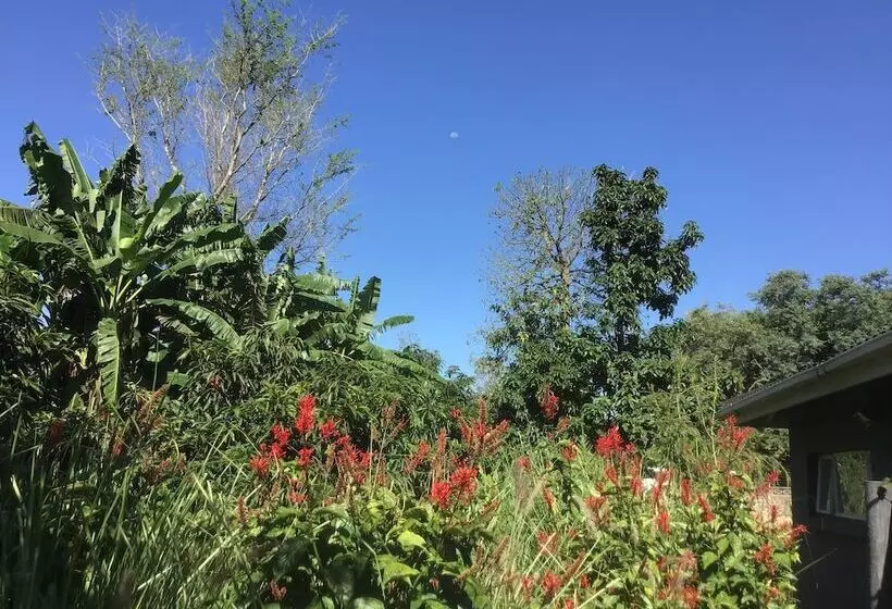 Mt Pleasant Bed And Breakfast Ltd