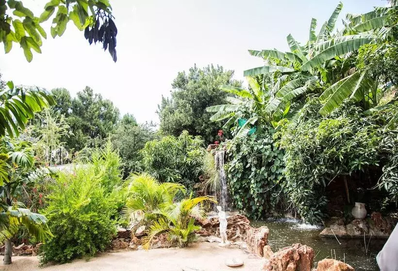 Mt Pleasant Bed And Breakfast Ltd