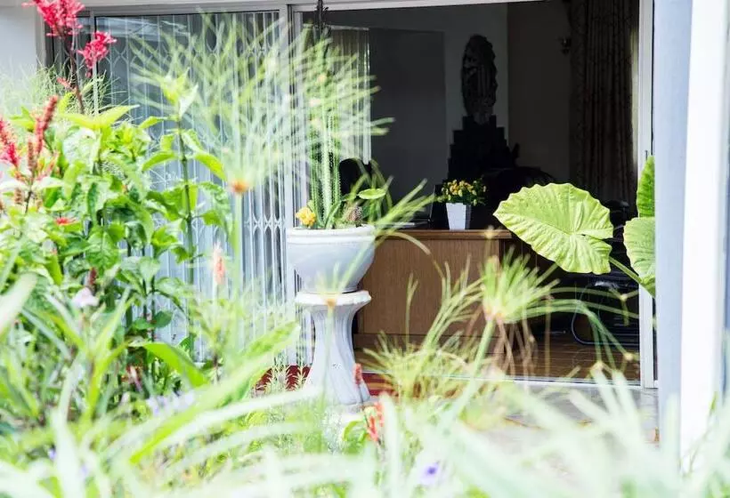 Mt Pleasant Bed And Breakfast Ltd