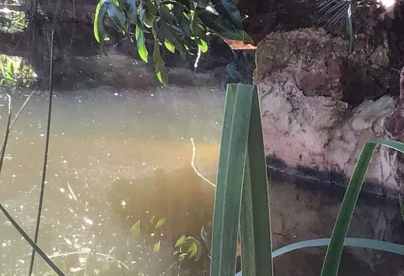 Mt Pleasant Bed And Breakfast Ltd