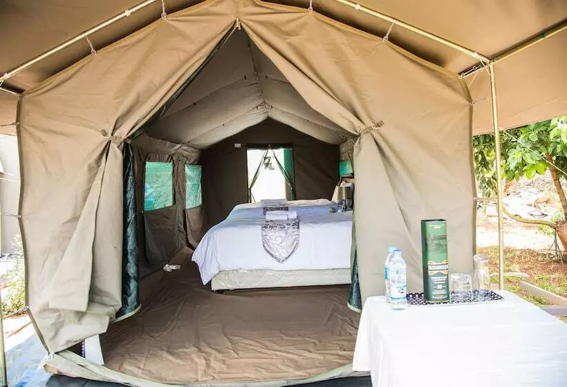 Mt Pleasant Bed And Breakfast Ltd