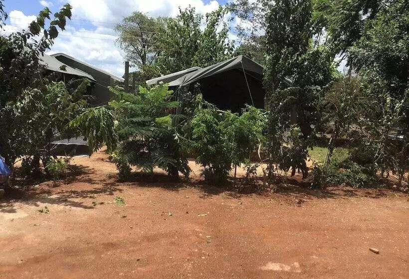 Mt Pleasant Bed And Breakfast Ltd