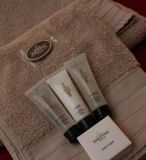 Aamiaismajoitus (B&B) The Executive House