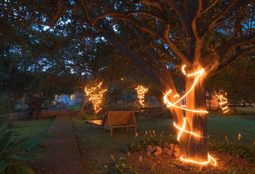 Hostal Garden By Refugio Del Rio Hostel