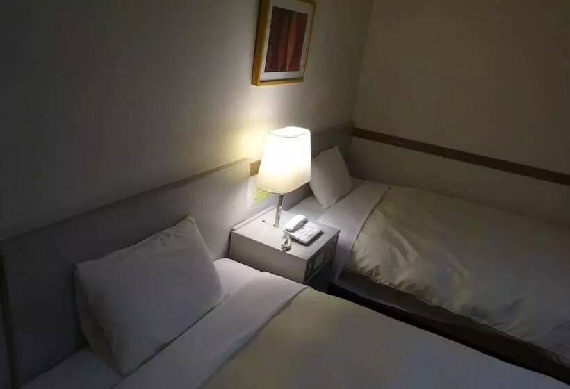 هتل Matsumoto Wellton