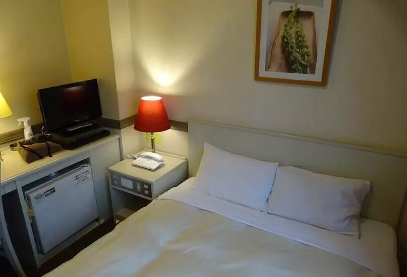 هتل Matsumoto Wellton