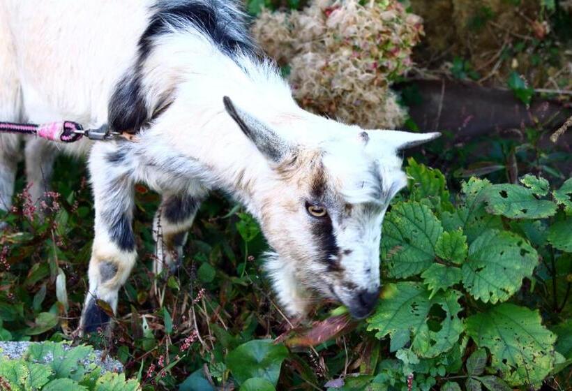 ريوكان Hanayukaku