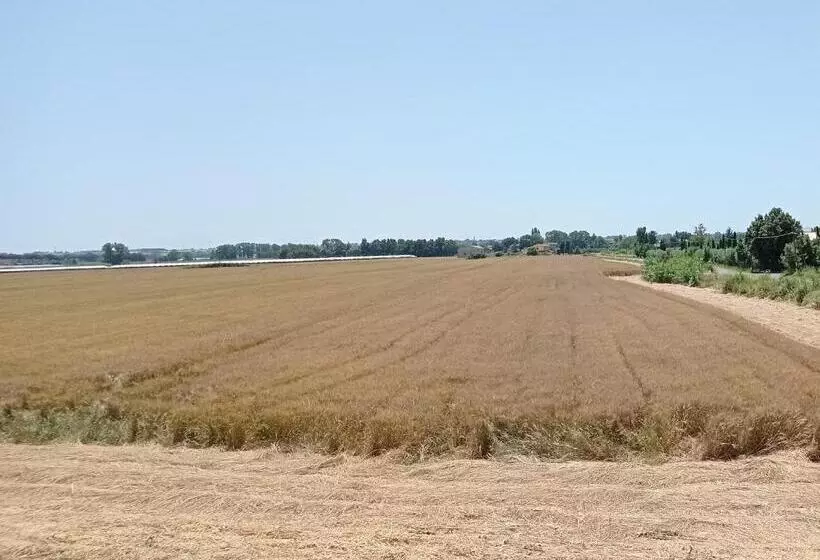 ベッドアンドブレックファースト Il Casale Di Giulia Di Aprilia