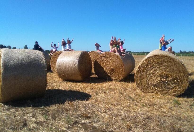 تختخواب و صبحانه Il Casale Di Giulia Di Aprilia