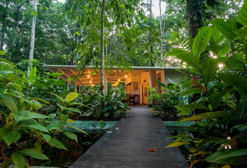 فندق Jaguar Inn Bungalows