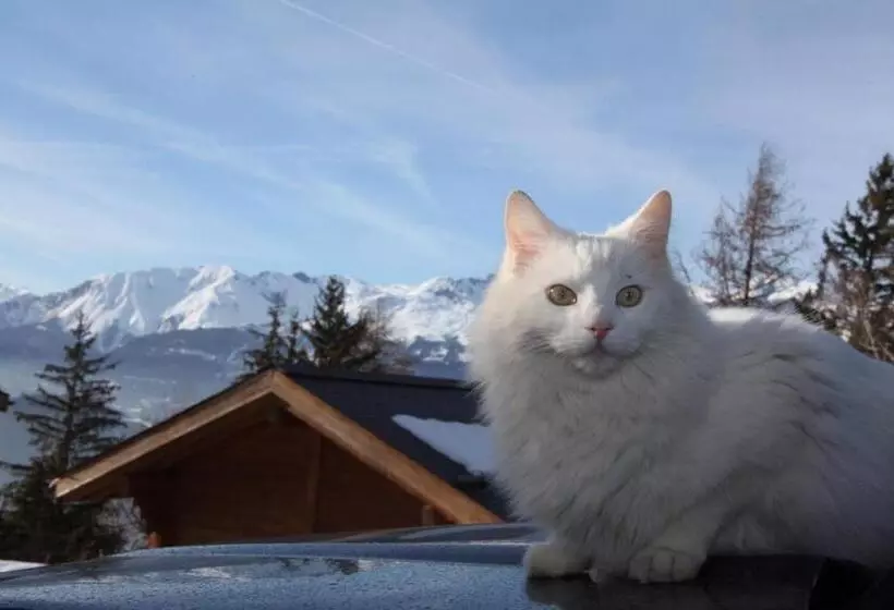 ホテル Les Mazots De La Source & Spa