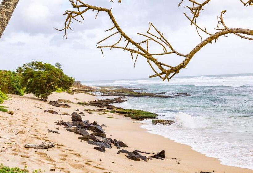 ホテル Mirissa Beach Villa