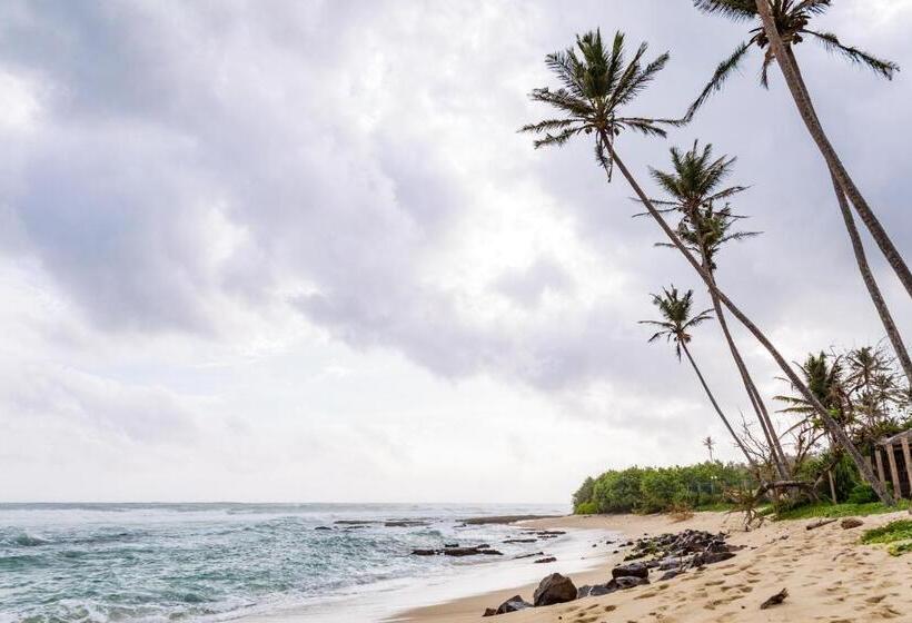 ホテル Mirissa Beach Villa