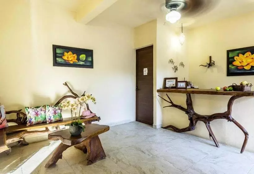 Hotelli Moon Dreams Villas El Jardin