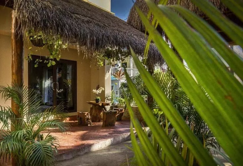 Hotelli Moon Dreams Villas El Jardin