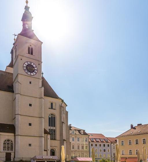 בית מלון כפרי Regensburgapart