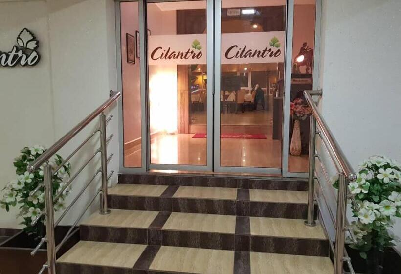 هتل Tahir Guest Palace