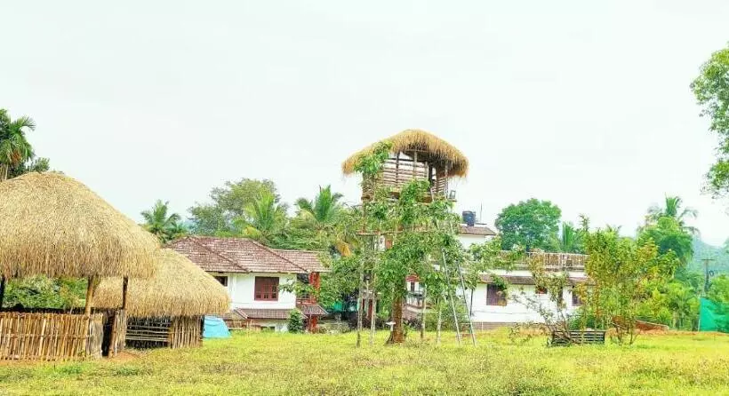 Three Roots Holiday Home Resort