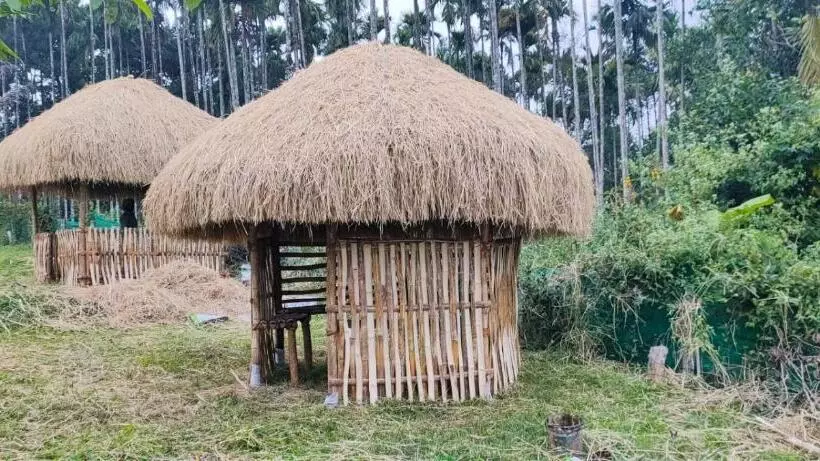 Three Roots Holiday Home Resort