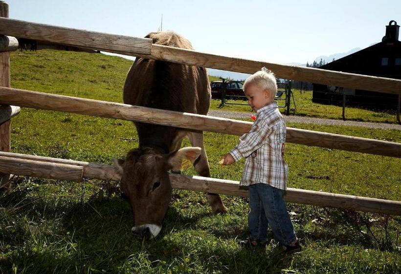 Hotelli Winklmoos Sonnenalm
