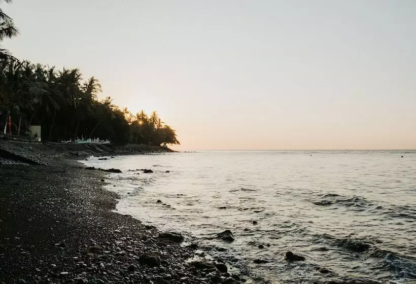 ホテル Aloka Bahari Villas