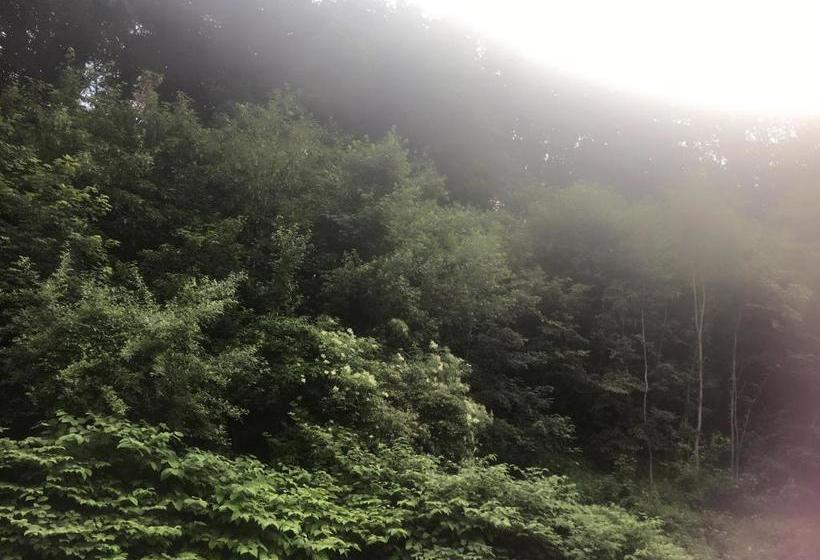 בית מלון כפרי Asia Wok Gasthof