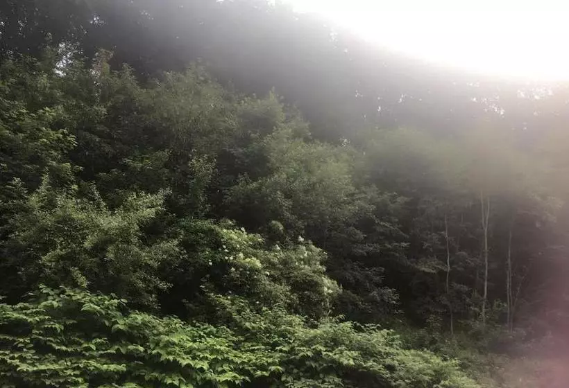 Hotel Asia Wok Gasthof