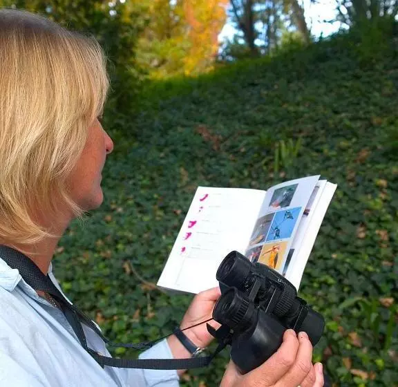 Hotel Hogsback Arminel