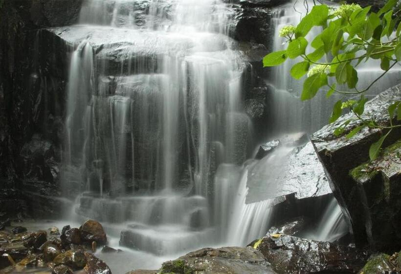 فندق Hogsback Arminel