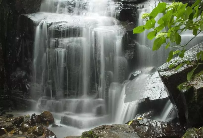 Hotel Hogsback Arminel