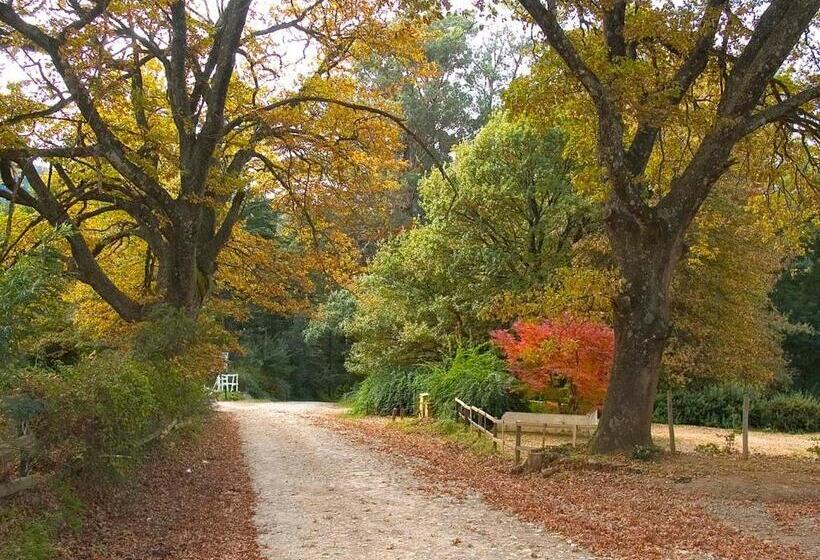 فندق Hogsback Arminel