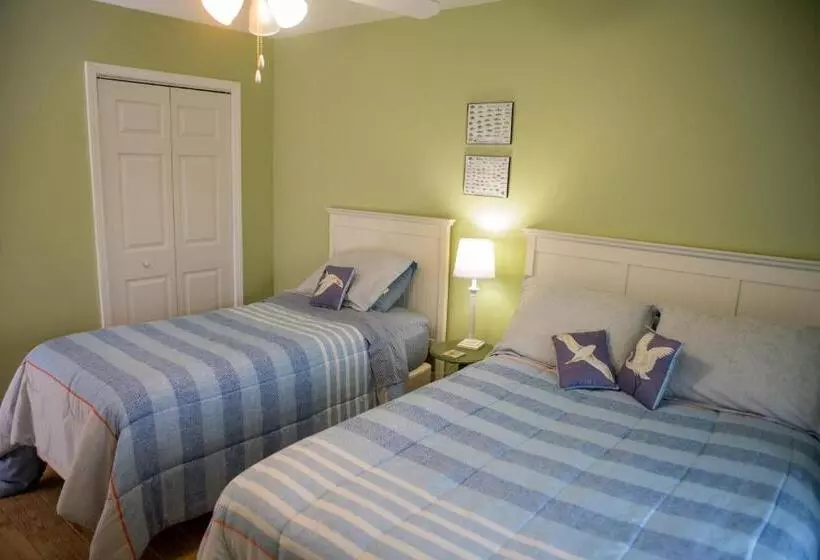 リゾートホテル Pawley's True Blue