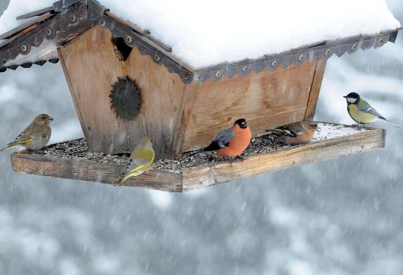בית מלון כפרי Arlenwald
