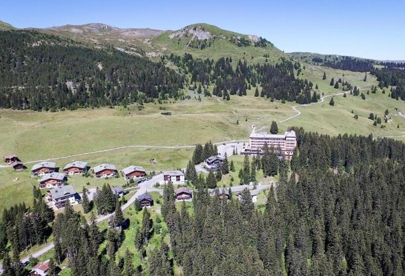 בית מלון כפרי Arlenwald