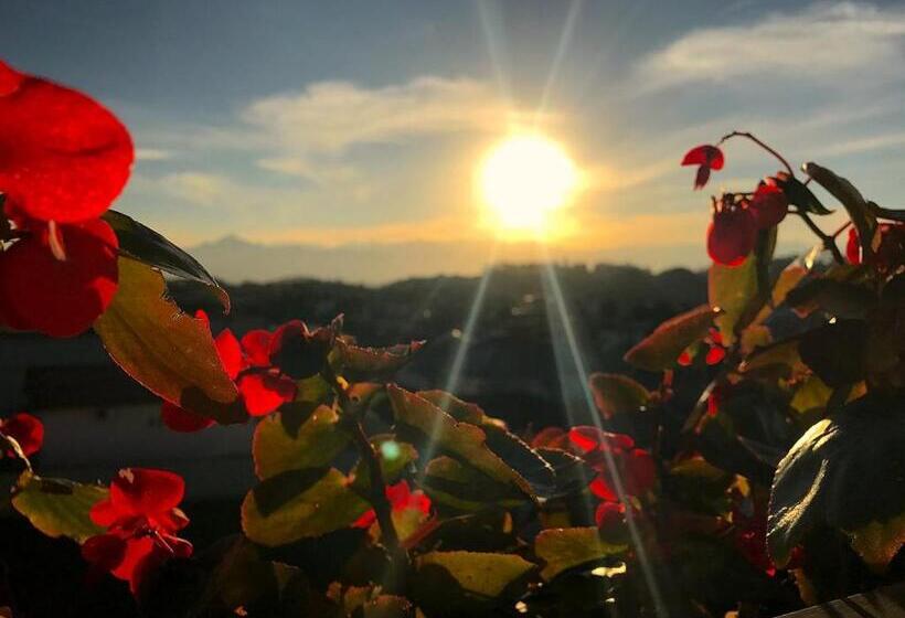 فندق Dolomiti Caravaggio