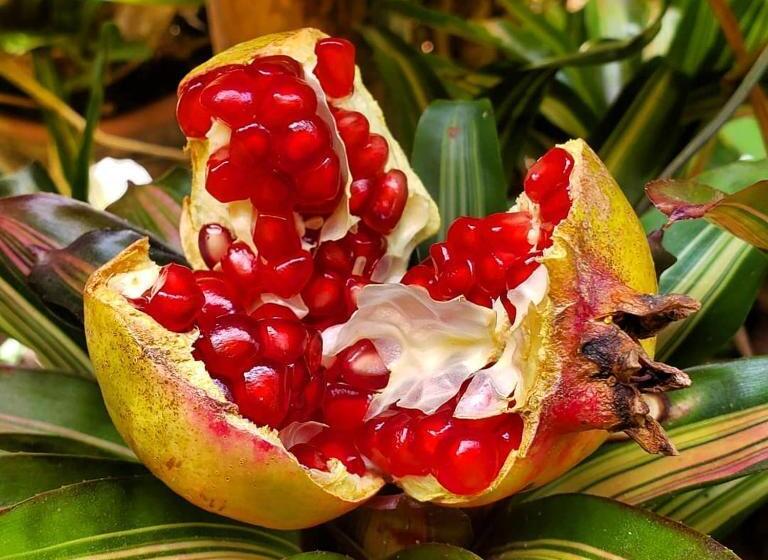 酒店 Natural Spa & Lazer