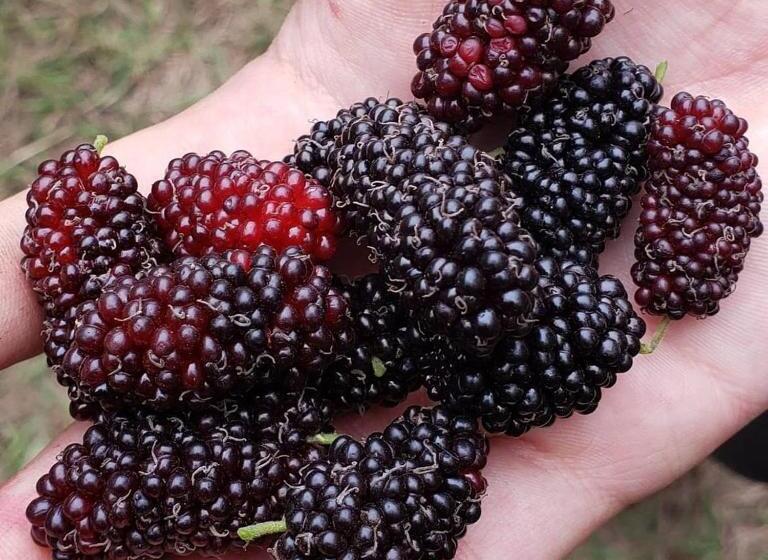 酒店 Natural Spa & Lazer