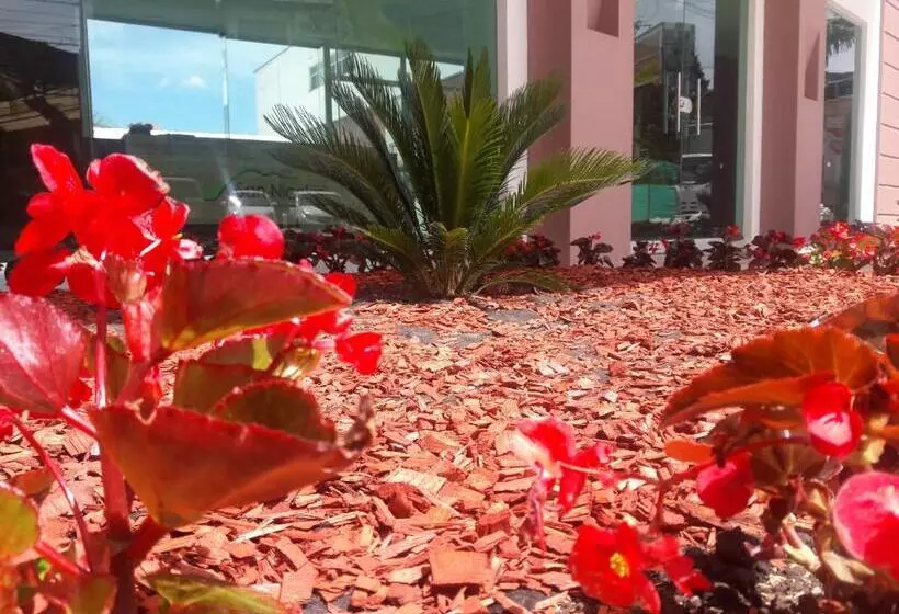 Hotelli Valle De San Nicolas