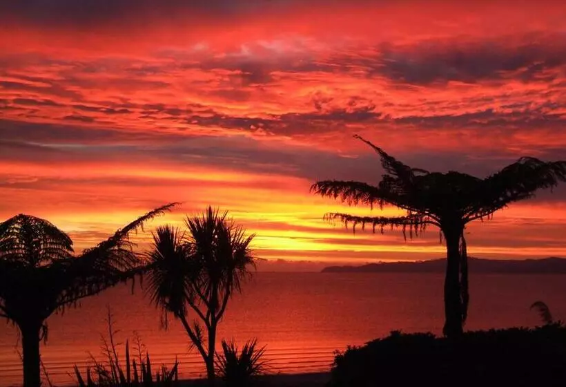 Lomakeskus Adrift In Golden Bay  Absolute Beachfront Villas