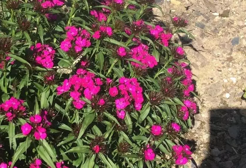 Aamiaismajoitus (B&B) L'ancienne Boulangerie