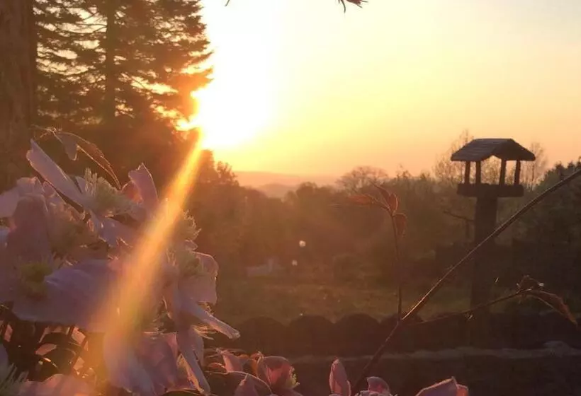 Aamiaismajoitus (B&B) L'ancienne Boulangerie