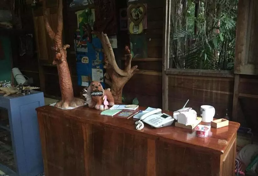 هتل Zazil Ha Hostel