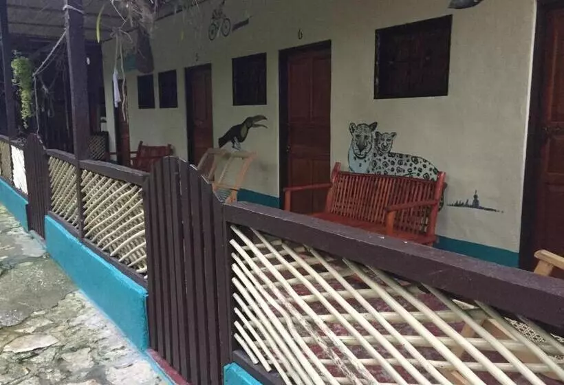 هتل Zazil Ha Hostel