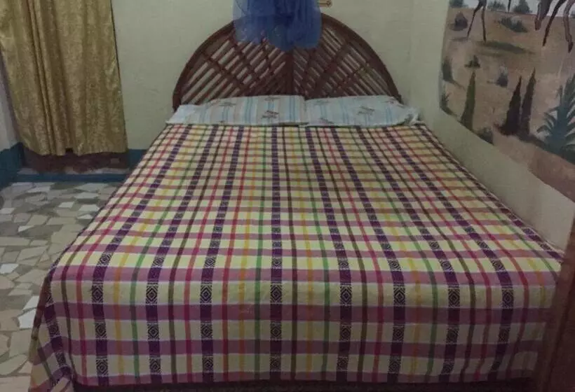 هتل Zazil Ha Hostel