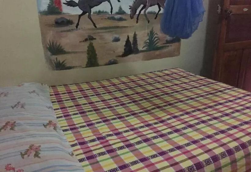 هتل Zazil Ha Hostel